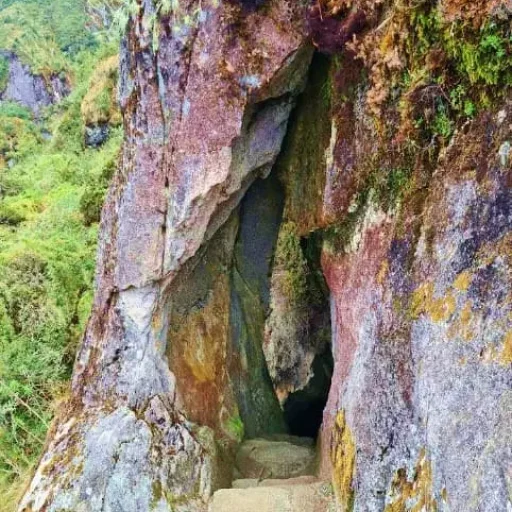 foto1